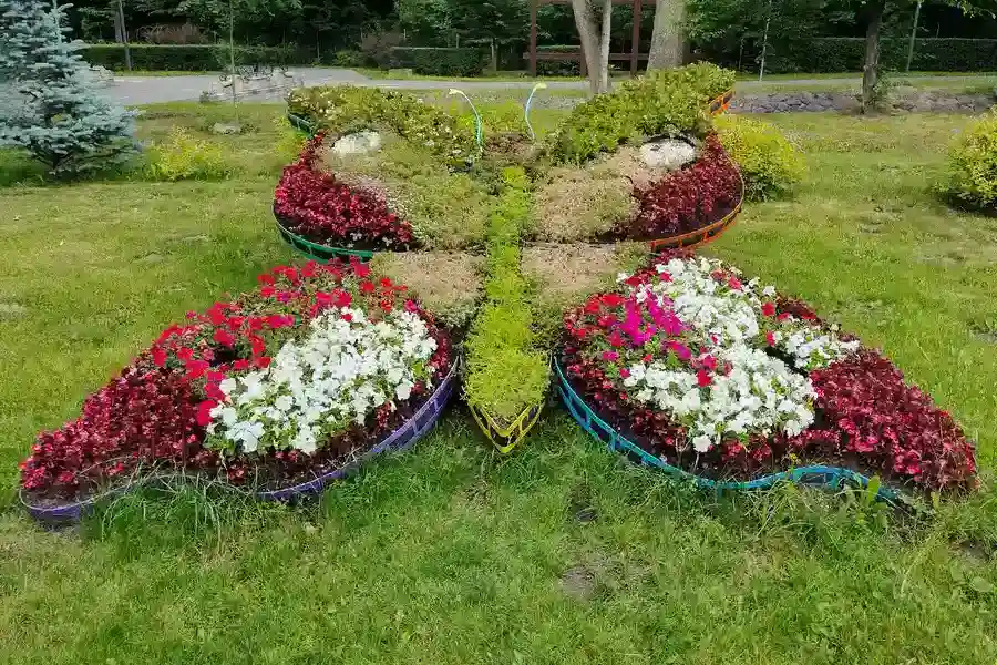 Choosing Plants That Thrive After Landscape Installation in Oakland, CA Choosing Plants That Thrive After Landscape Installation in Oakland, CA