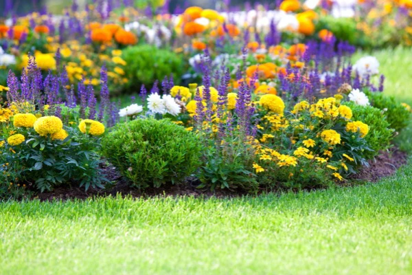 Local Gardening Services Oakland, CA Local Gardening Services Oakland, CA