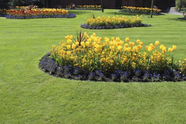 The Benefits Of Professional Pruning In Garden Maintenance in Oakland, CA The Benefits Of Professional Pruning In Garden Maintenance in Oakland, CA