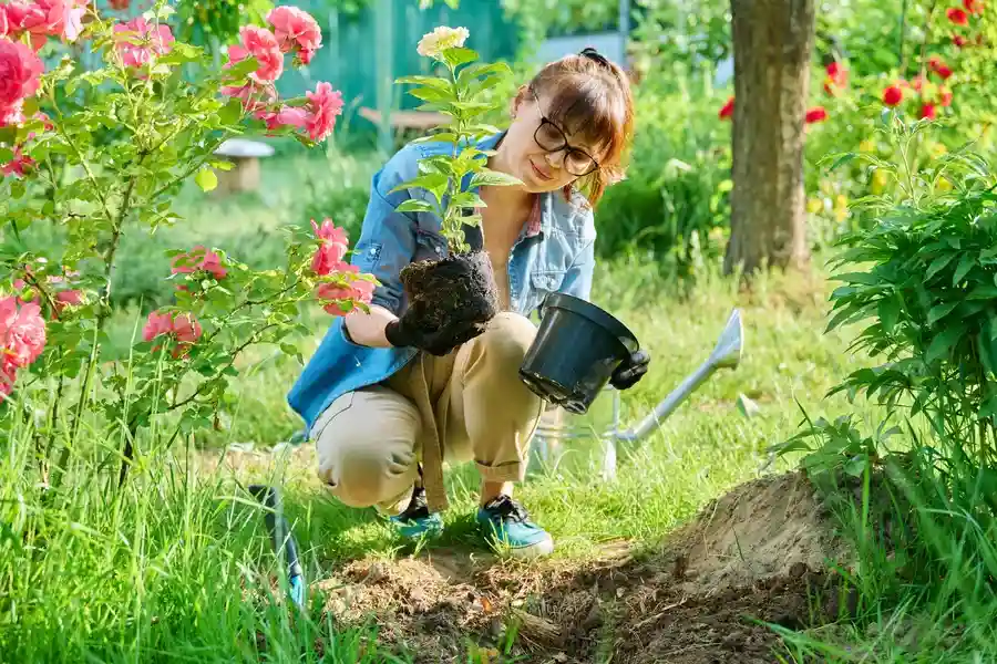 The Importance Of Seasonal Maintenance In Gardening Services Oakland, CA The Importance Of Seasonal Maintenance In Gardening Services Oakland, CA